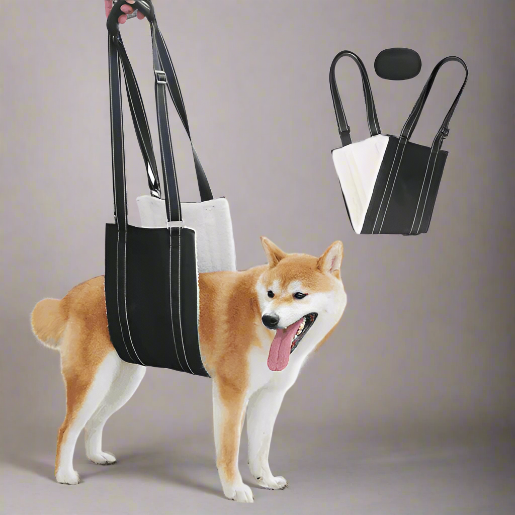 Canine Lift Support & Rehabilitation Sling - Simply Petastic
