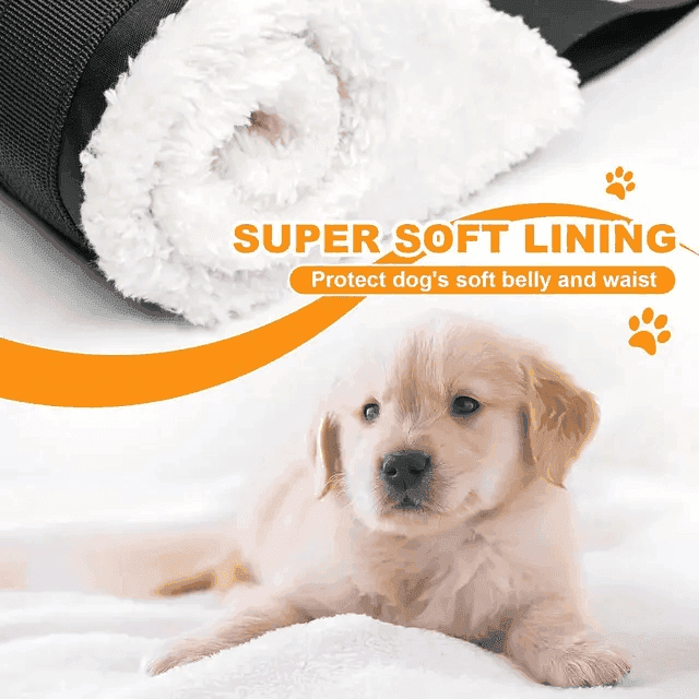 Canine Lift Support & Rehabilitation Sling - Simply Petastic