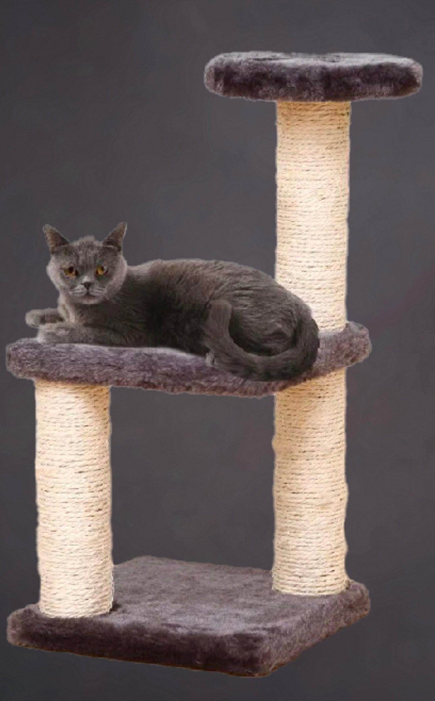 Active Cat Tower with Jumping Platform for Indoor Fun - Simply Petastic