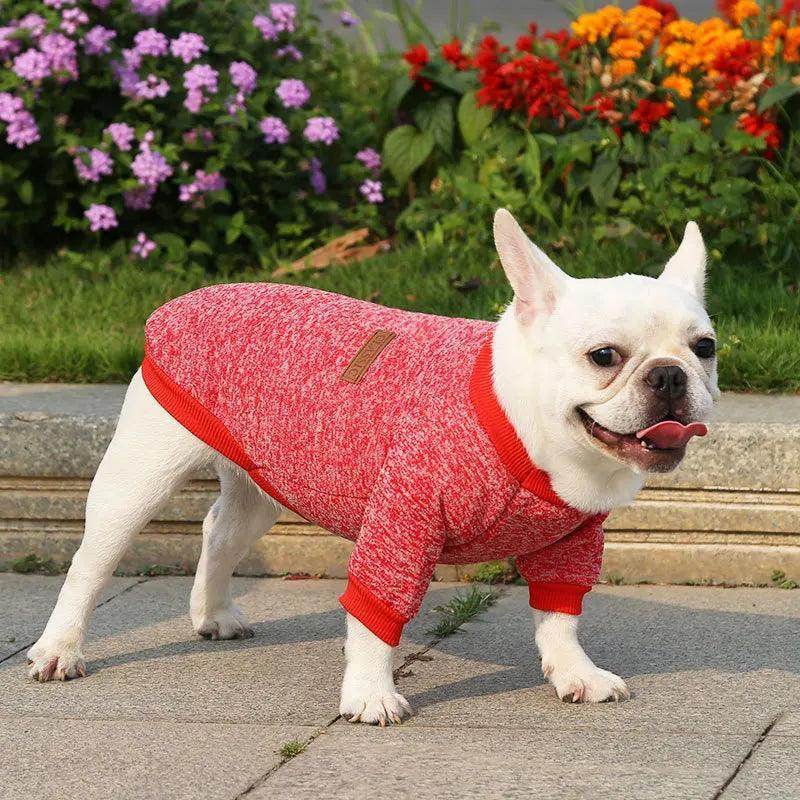 Winter Knitted Dog Pullover Sweater - Simply Petastic