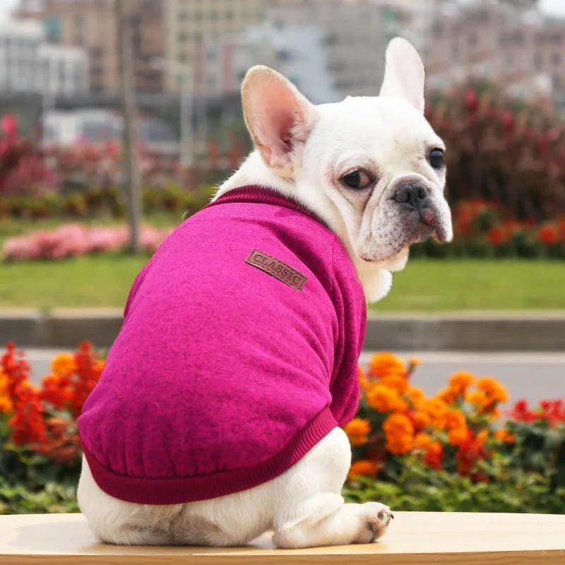 Winter Knitted Dog Pullover Sweater - Simply Petastic