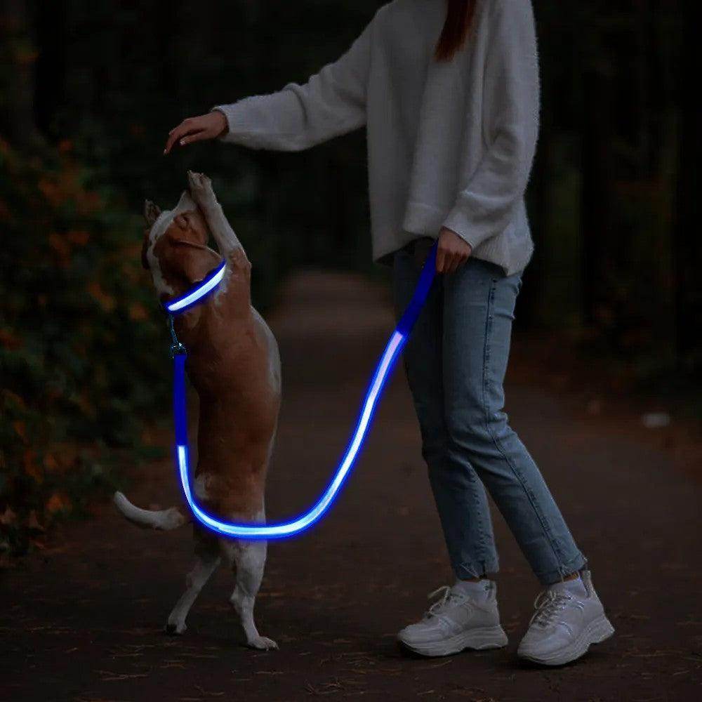 LED Rechargeable Dog Leash - Simply Petastic