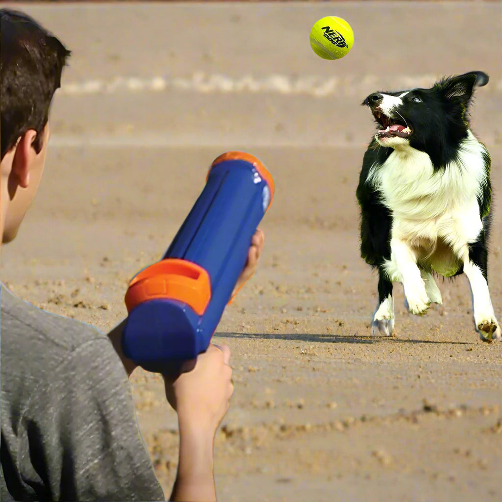 16” Tennis Ball Blaster Dog Toy with 4 Balls - Simply Petastic