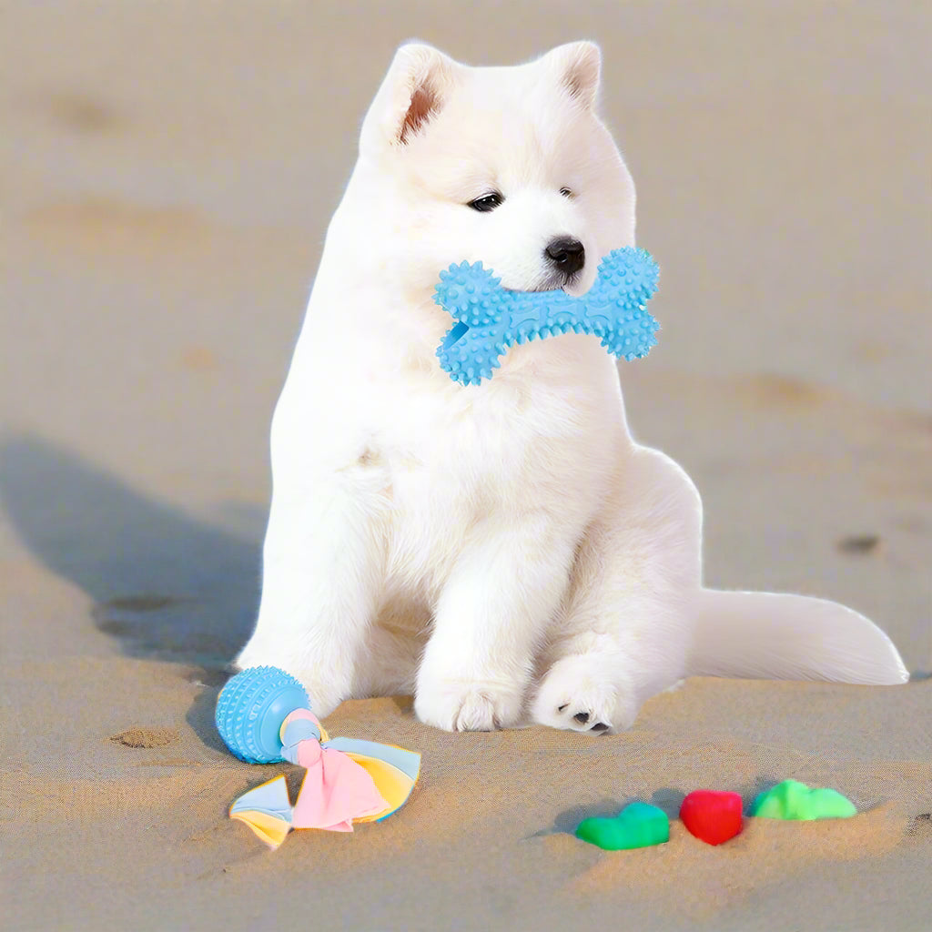 7 Pcs Puppy Chew Toys for Teething Cleaning, For Small Dogs - Simply Petastic
