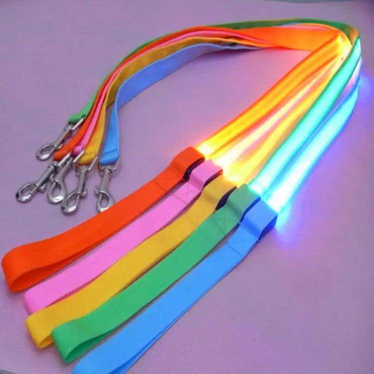 LED Rechargeable Dog Leash - Simply Petastic