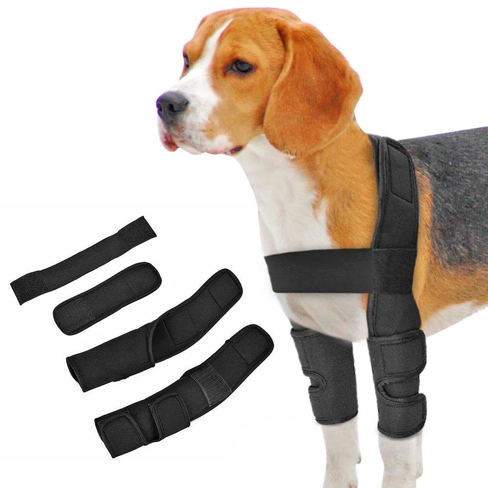Dog Knee Brace Injuries Leg Brace Surgical Joint Wrap Dog Wounds Heals Canine Front Leg Arthritis Prevents Dogs Medical Supplies - Simply Petastic