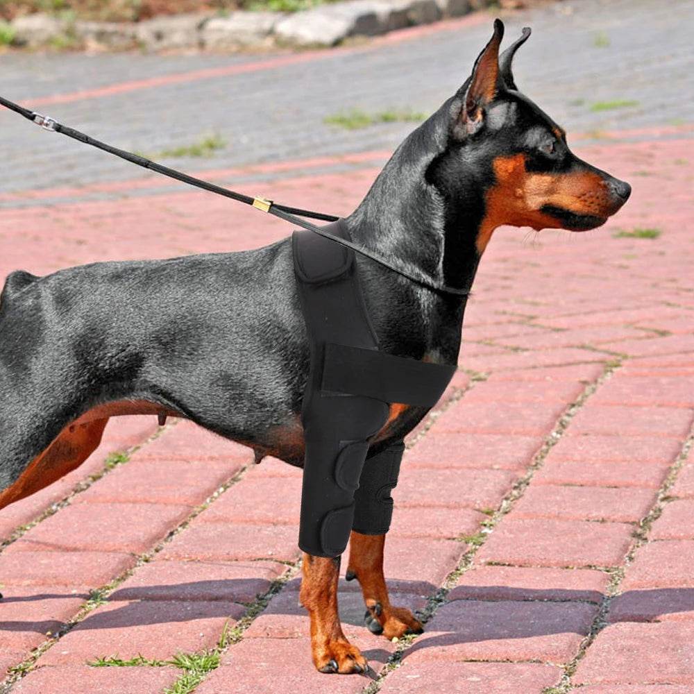 Dog Knee Brace Injuries Leg Brace Surgical Joint Wrap Dog Wounds Heals Canine Front Leg Arthritis Prevents Dogs Medical Supplies - Simply Petastic