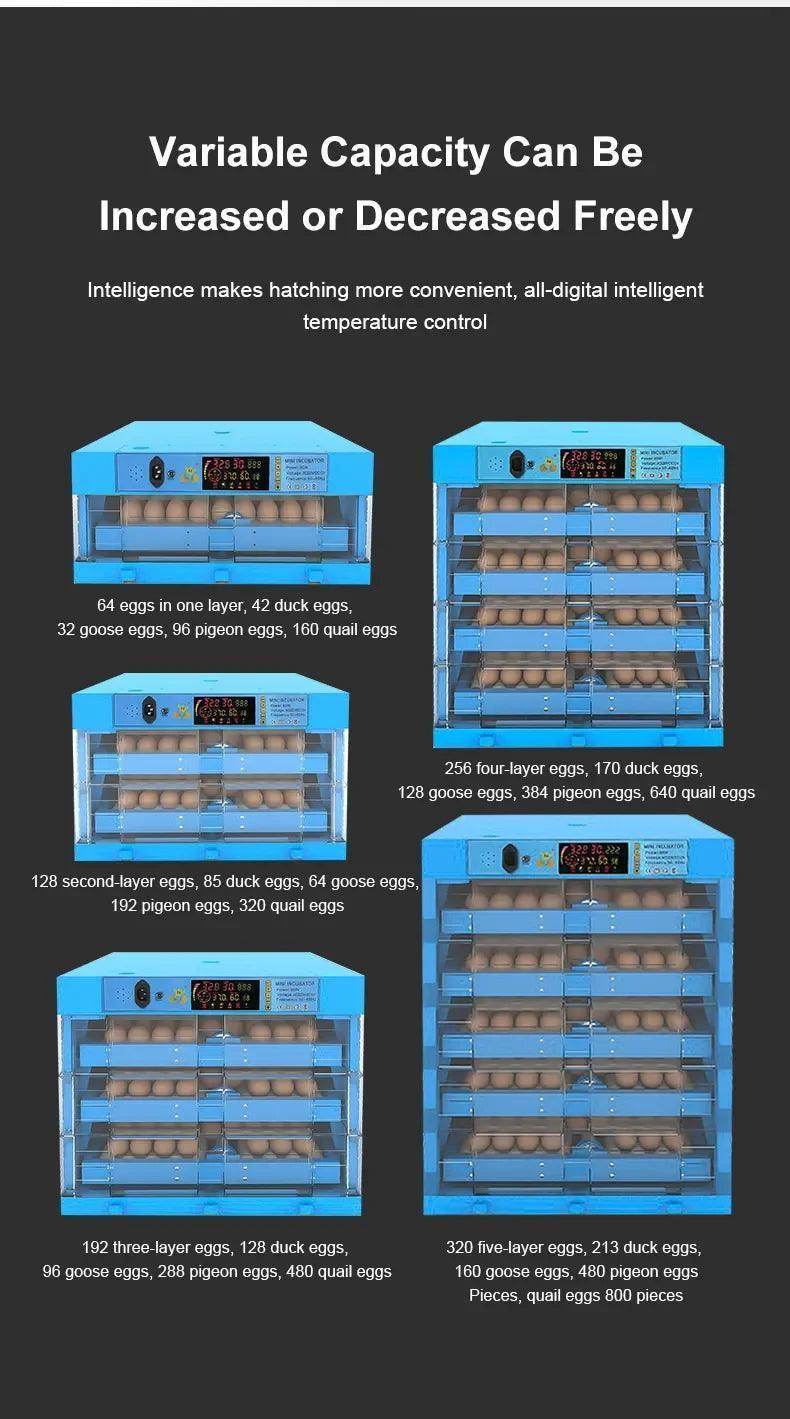 Innovative Egg Hatching Technology for All Birds - Simply Petastic