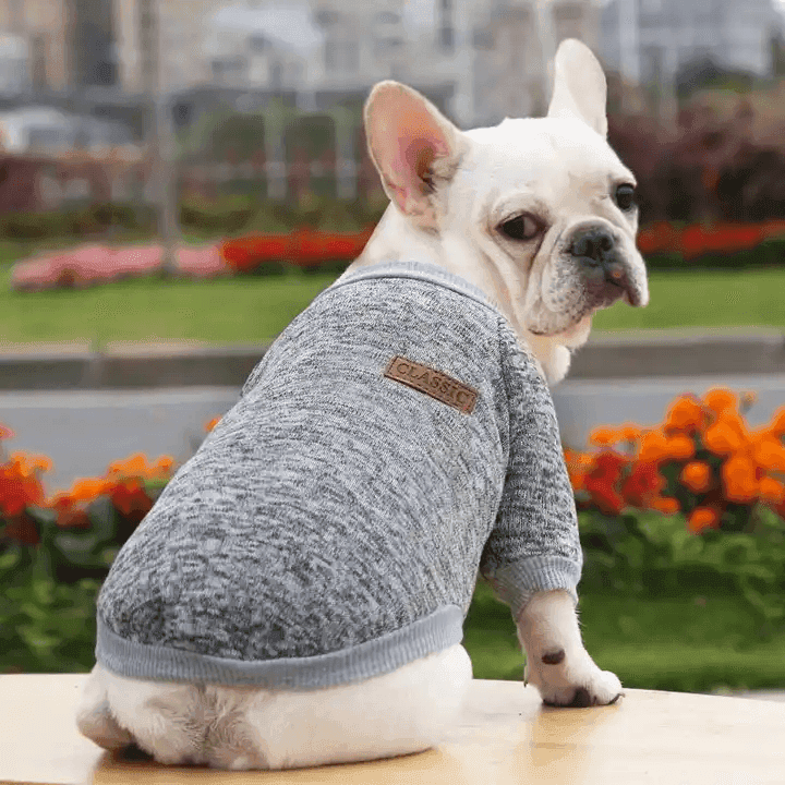 Winter Knitted Dog Pullover Sweater - Simply Petastic