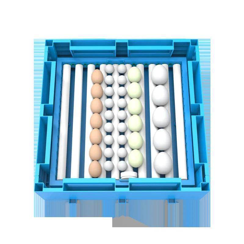 Innovative Egg Hatching Technology for All Birds - Simply Petastic