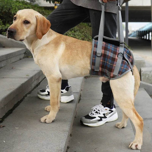 Adjustable Dog Support Harness for Front and Rear Legs Lifting Rehabilitation Vest for Old Dogs with Disabilities Pet Supplies - Simply Petastic