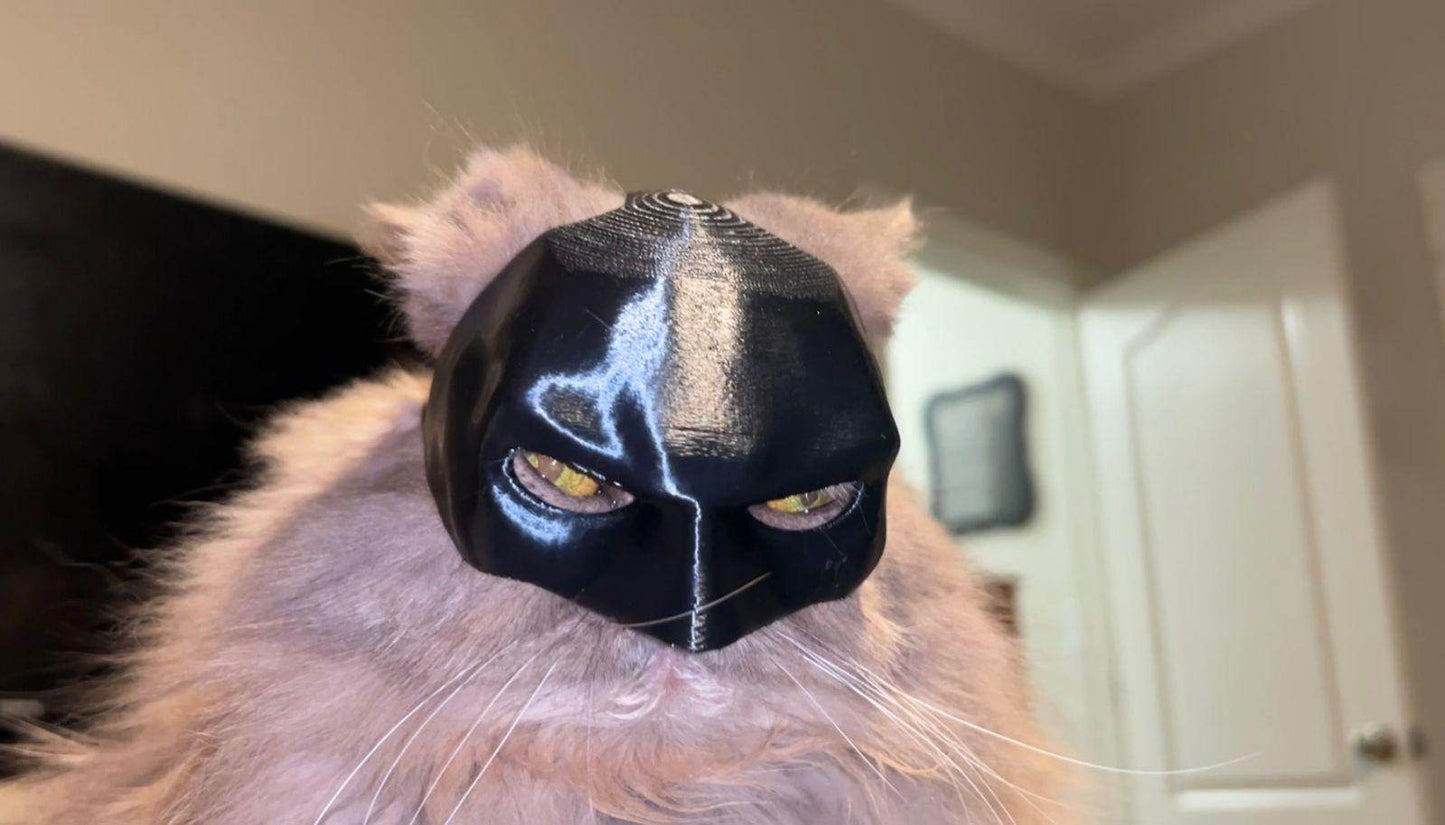 Superhero Cat Mask for TikTok Trends - Simply Petastic