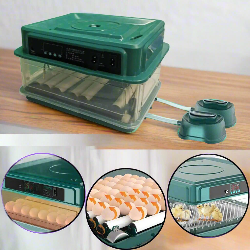 Automatic Egg Incubator Temperature Control - Simply Petastic