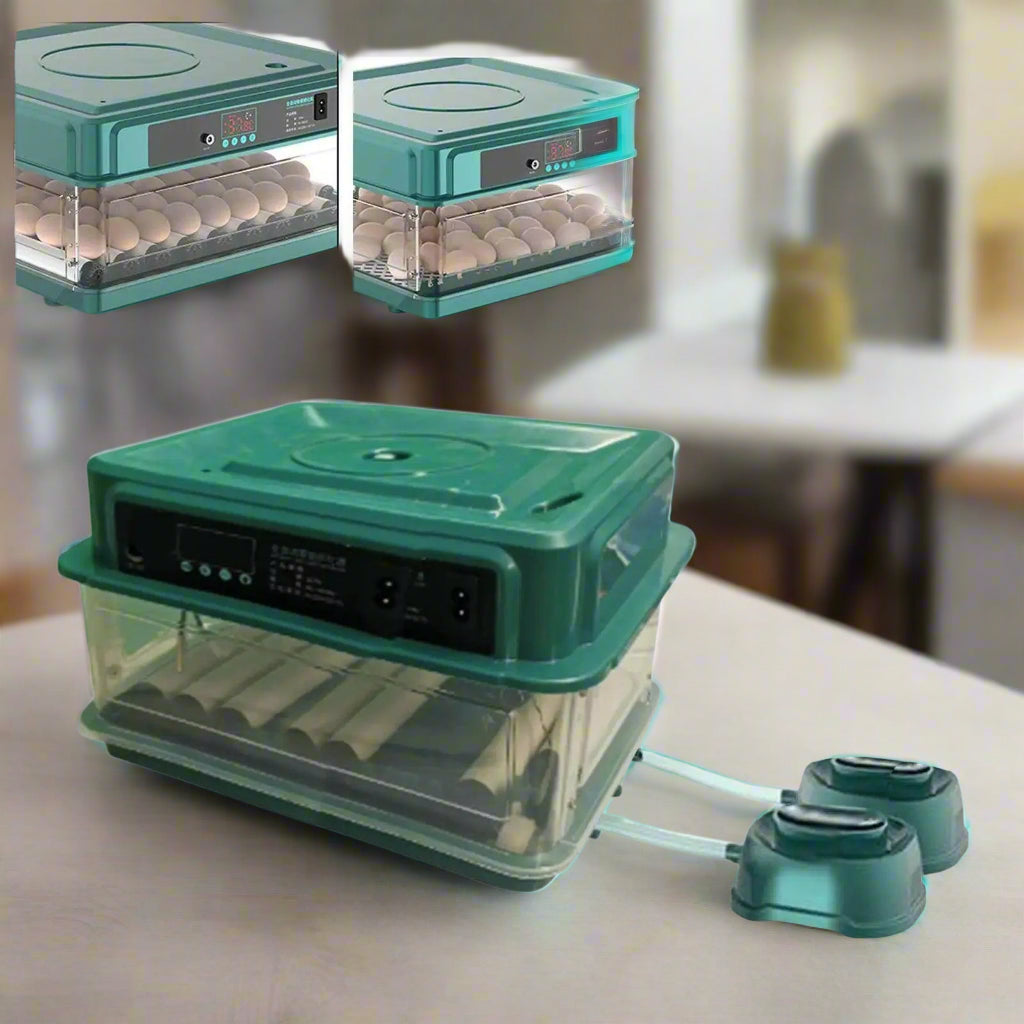 Automatic Egg Incubator Temperature Control - Simply Petastic