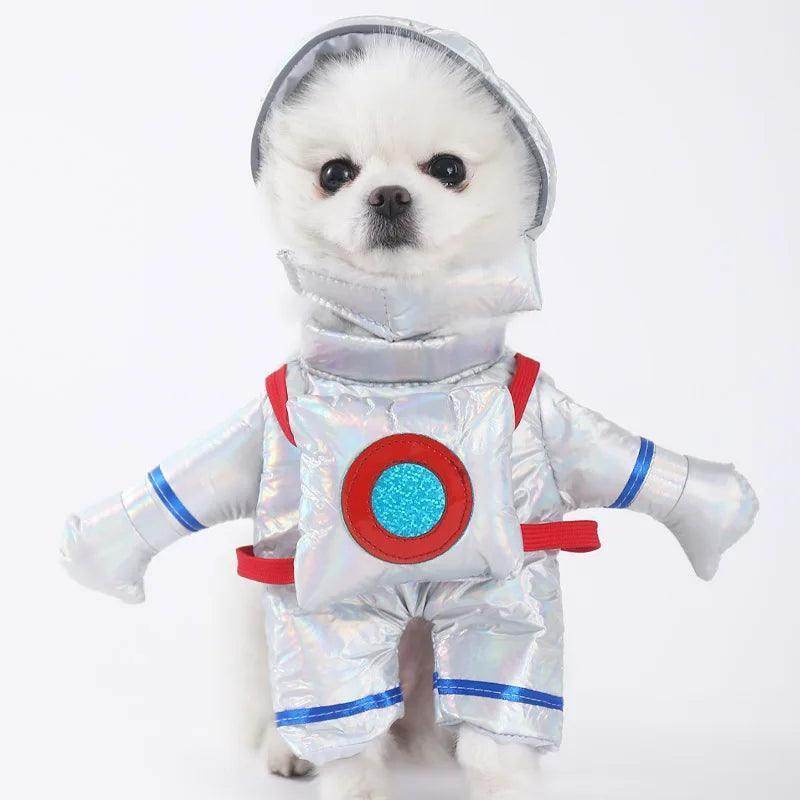 Cute and funny pet Halloween Outfits - Simply Petastic