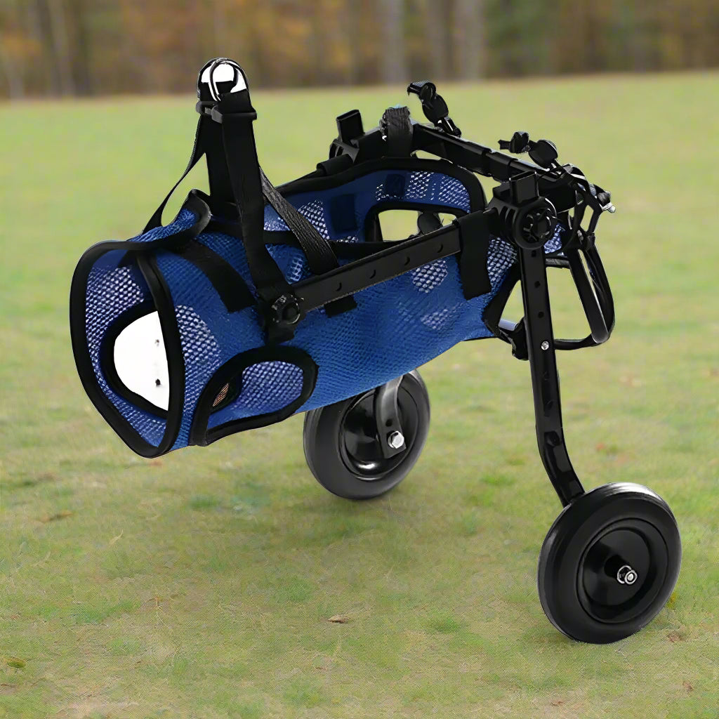 Supportive Wheelchair for Dogs with Hind Leg Issues - Simply Petastic