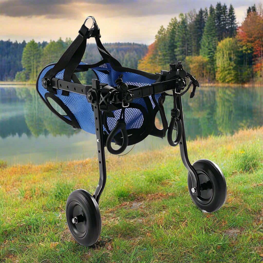 Supportive Wheelchair for Dogs with Hind Leg Issues - Simply Petastic
