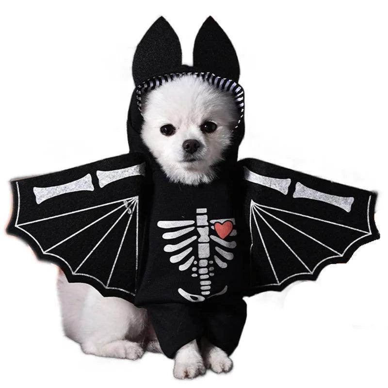 Cute and funny pet Halloween Outfits - Simply Petastic