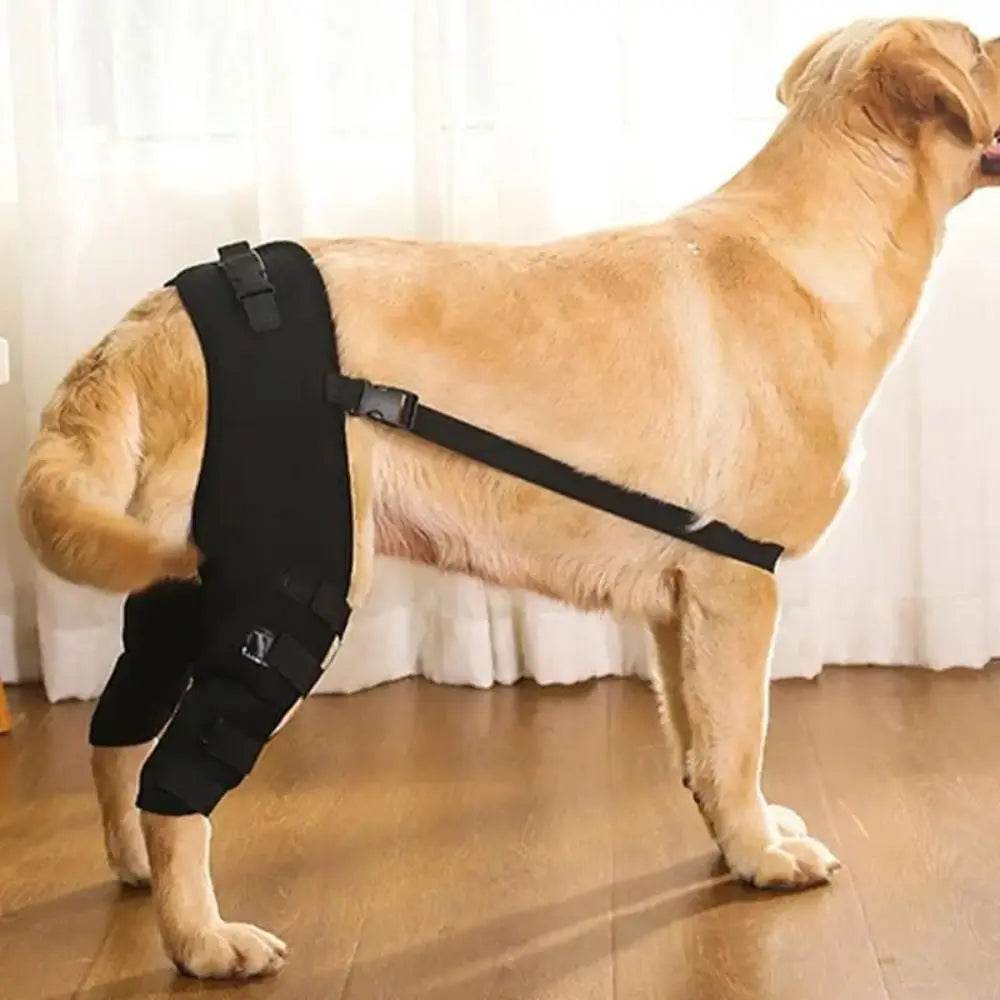 Canine Knee and Hip Joint Support Brace - Simply Petastic