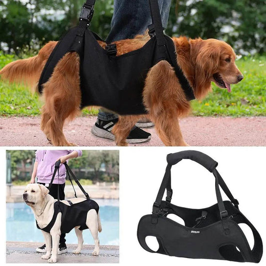 Supportive Sling for Elderly Dogs: Mobility Made Easy - Simply Petastic