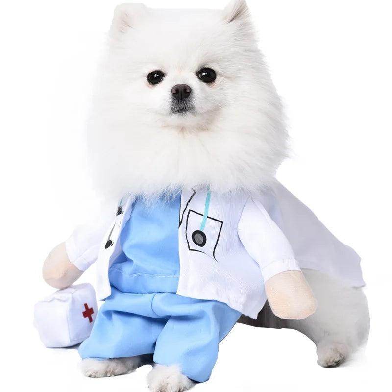 Cute and funny pet Halloween Outfits - Simply Petastic