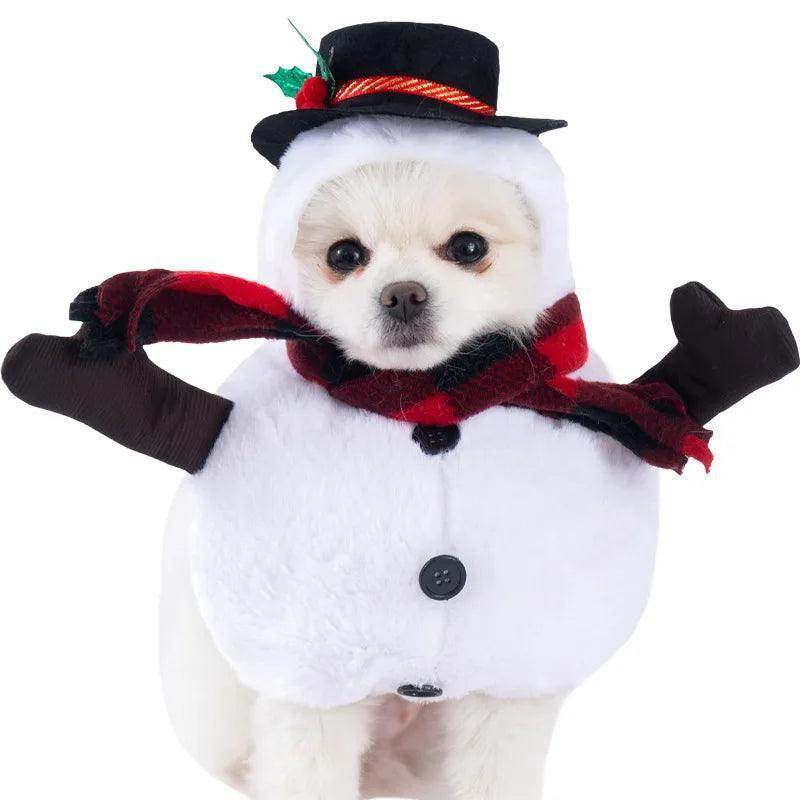 Cute and funny pet Halloween Outfits - Simply Petastic