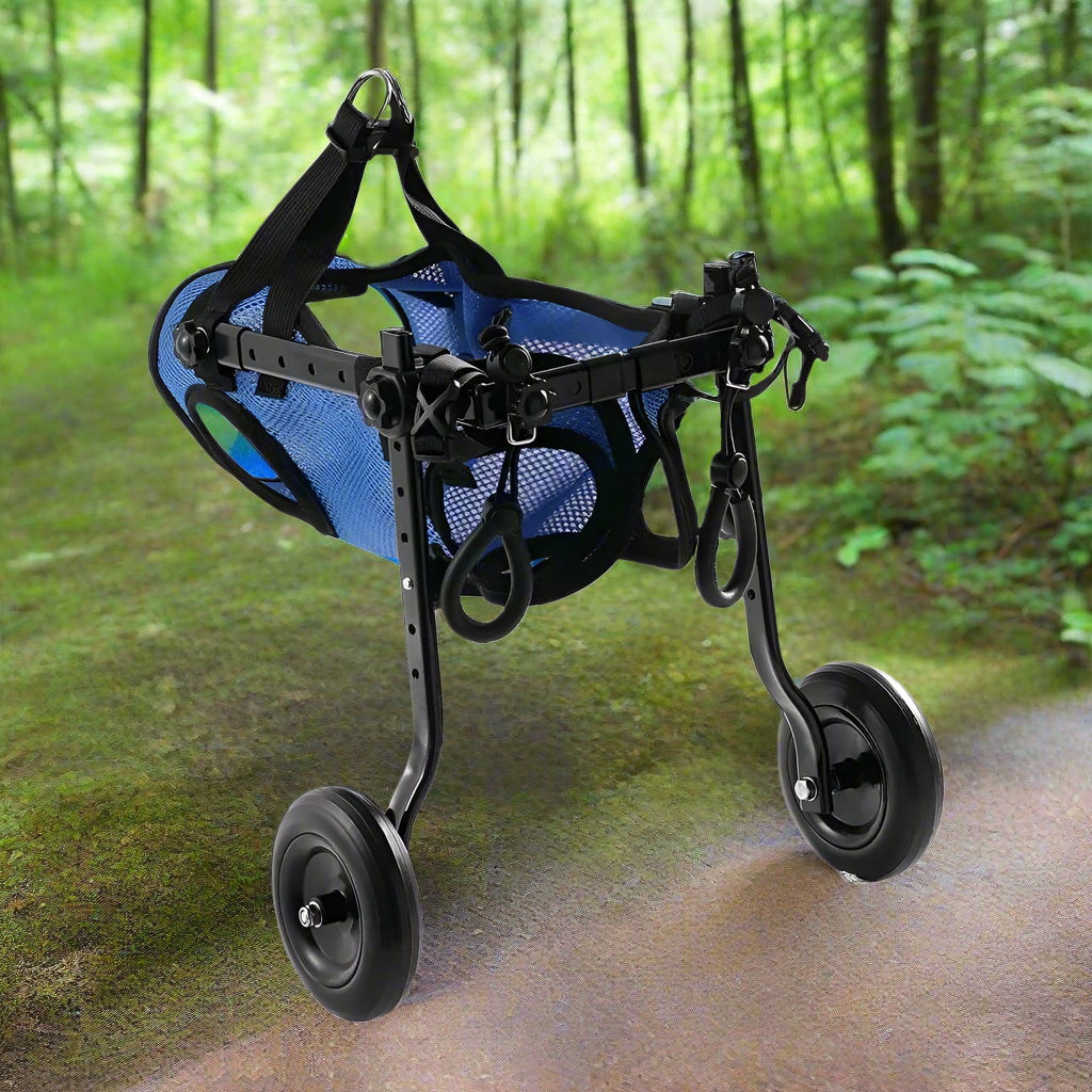 Supportive Wheelchair for Dogs with Hind Leg Issues - Simply Petastic