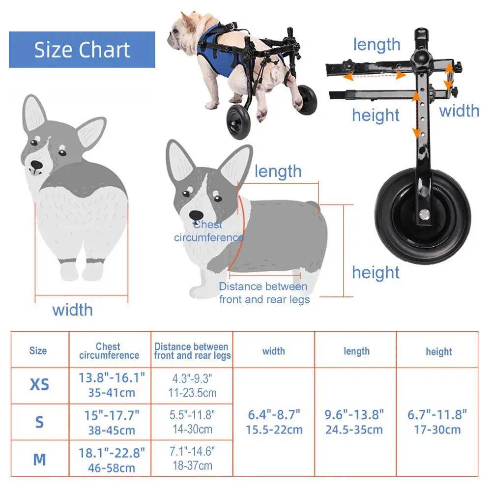 Supportive Wheelchair for Dogs with Hind Leg Issues - Simply Petastic