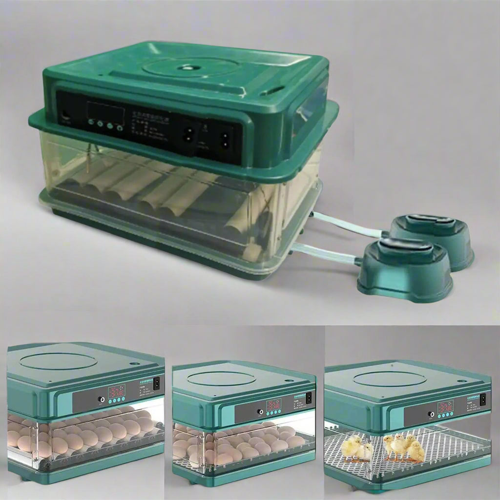 Automatic Egg Incubator Temperature Control - Simply Petastic