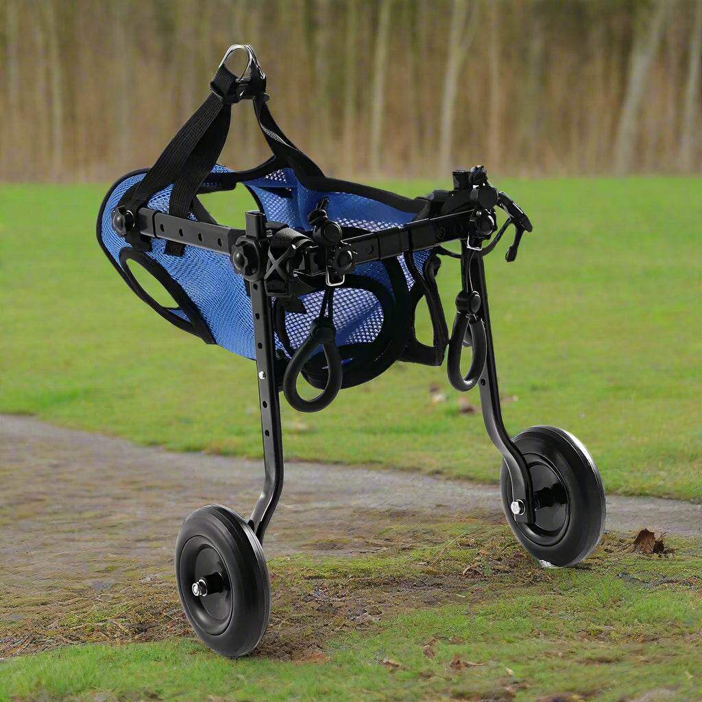 Supportive Wheelchair for Dogs with Hind Leg Issues - Simply Petastic