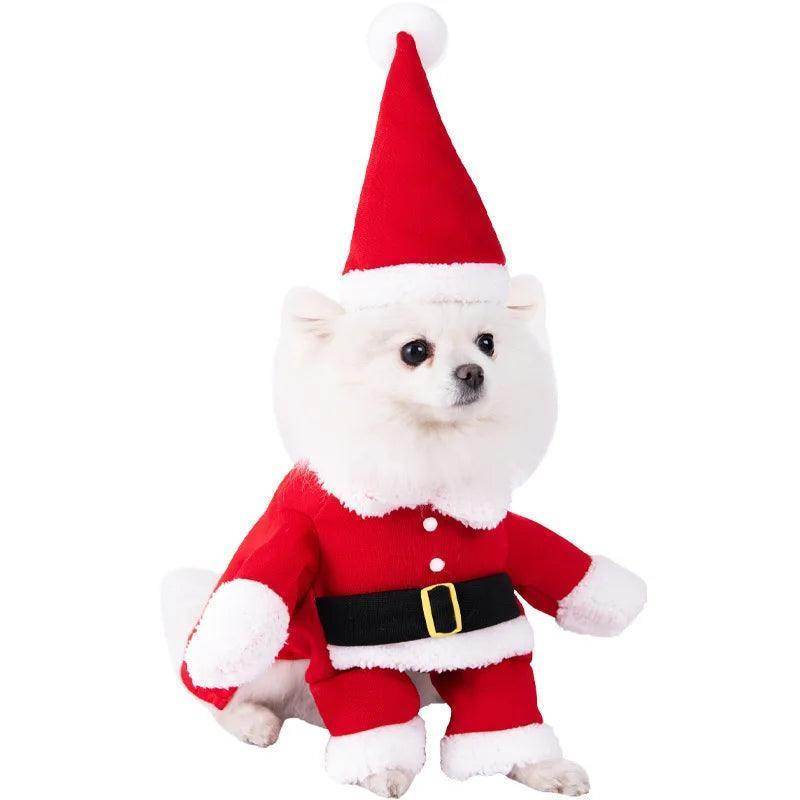 Cute and funny pet Halloween Outfits - Simply Petastic