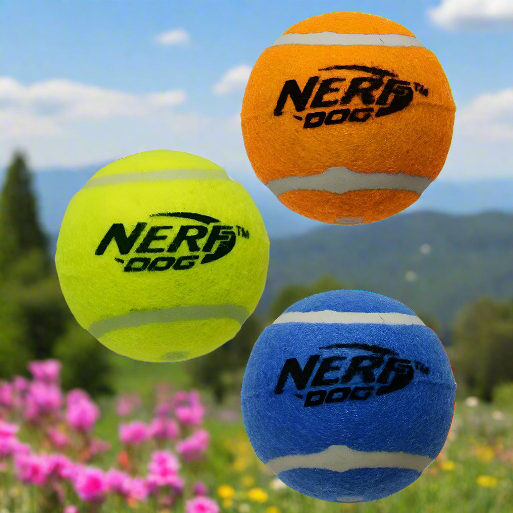 2.5-Inch Squeak Tennis Ball Dog Toy, 3-Pack - Simply Petastic