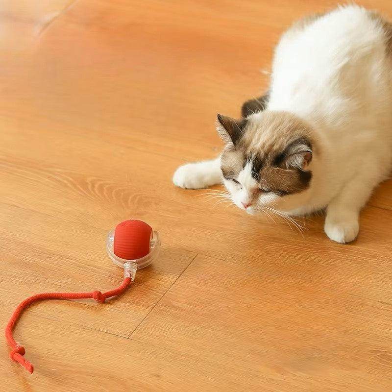 Smart Cat Ball: Fast Rolling Toy with Tail Accessory - Simply Petastic
