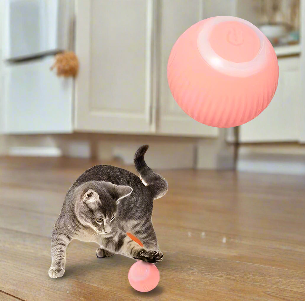 USB Rechargeable Automatic Rolling Smart Cat Ball - Simply Petastic