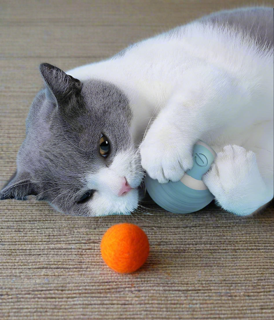 USB Rechargeable Automatic Rolling Smart Cat Ball - Simply Petastic