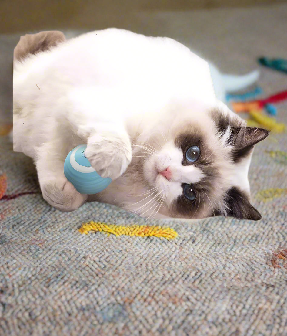 USB Rechargeable Automatic Rolling Smart Cat Ball - Simply Petastic