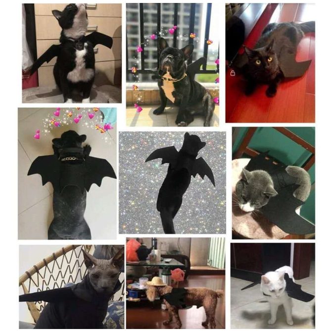 Black Bat Wings Pet Cosplay Prop Halloween Cat Dog Costume