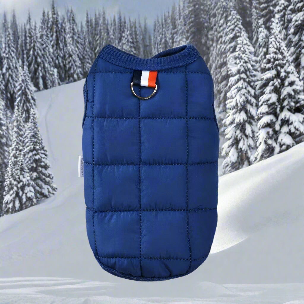 Winter Warm Dog Coat For Small and medium dogs - Simply Petastic