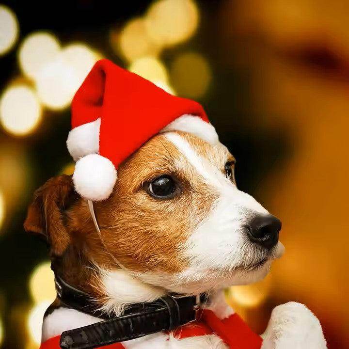 Mini Dog Cat Christmas Holiday Santa Elf Hat - Simply Petastic