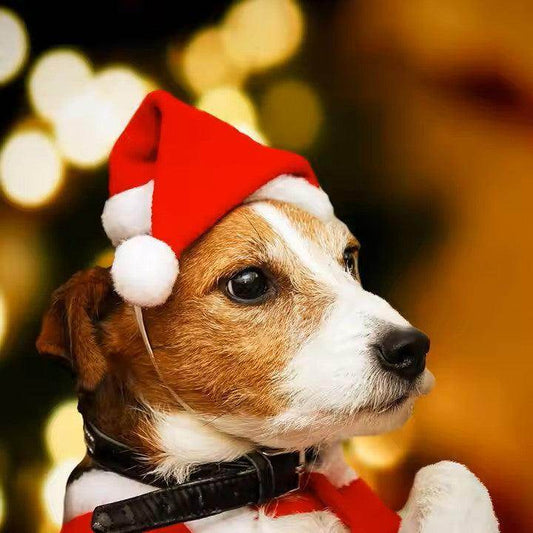 Mini Dog Cat Christmas Holiday Santa Elf Hat - Simply Petastic