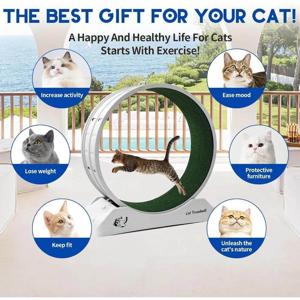 Cat Treadmill Wheel Exerciser for Kitty’S Longer Life - Simply Petastic