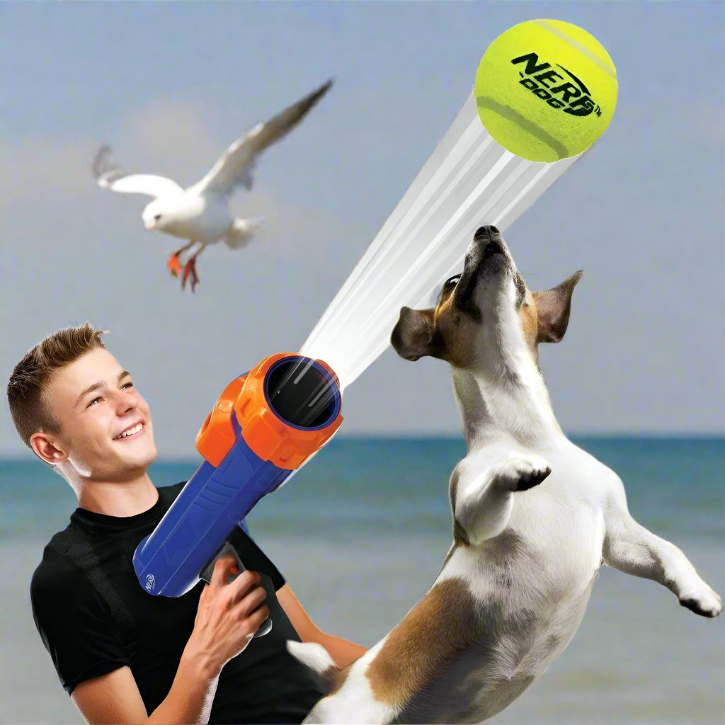 16” Tennis Ball Blaster Dog Toy with 4 Balls - Simply Petastic