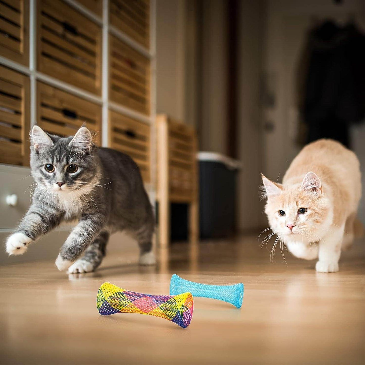 Colorful Cat Spring Toys for Interactive Play 60pc - Simply Petastic