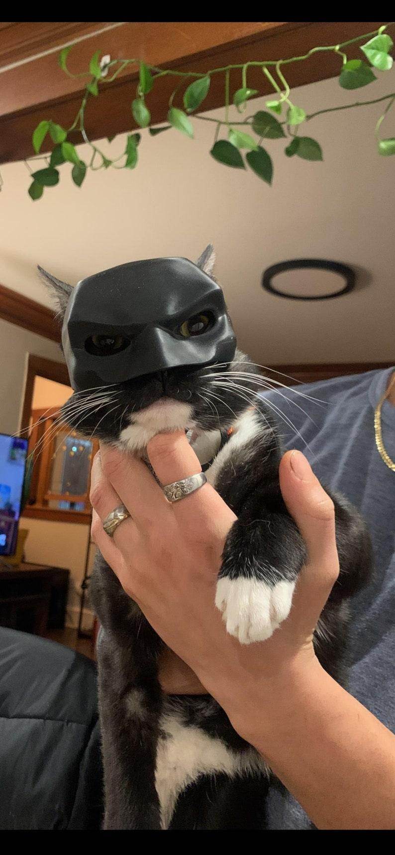 Superhero Cat Mask for TikTok Trends - Simply Petastic