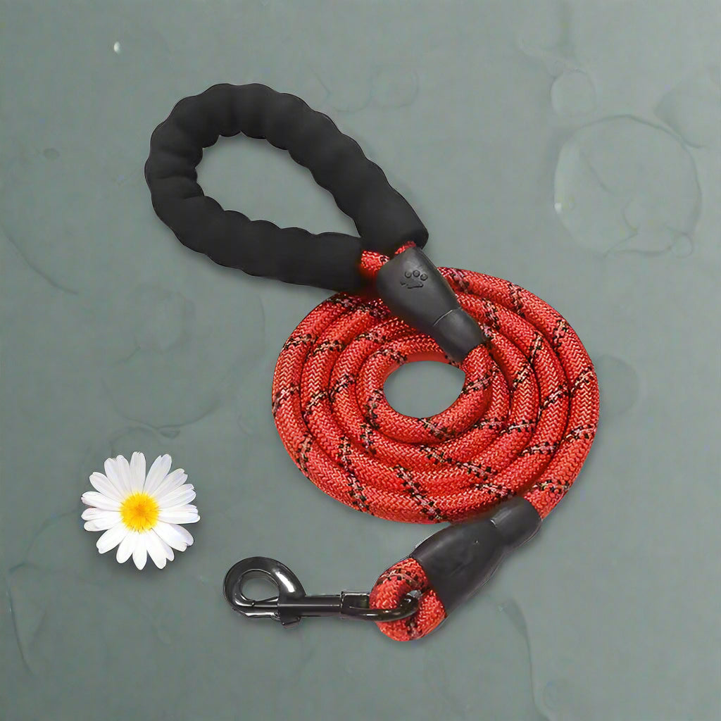5' Braided Nylon Leash: Durable & Reflective for Dogs - Simply Petastic