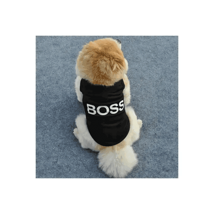 Sassy Cute Toy Dog Princess Boss Statement Tees - Simply Petastic