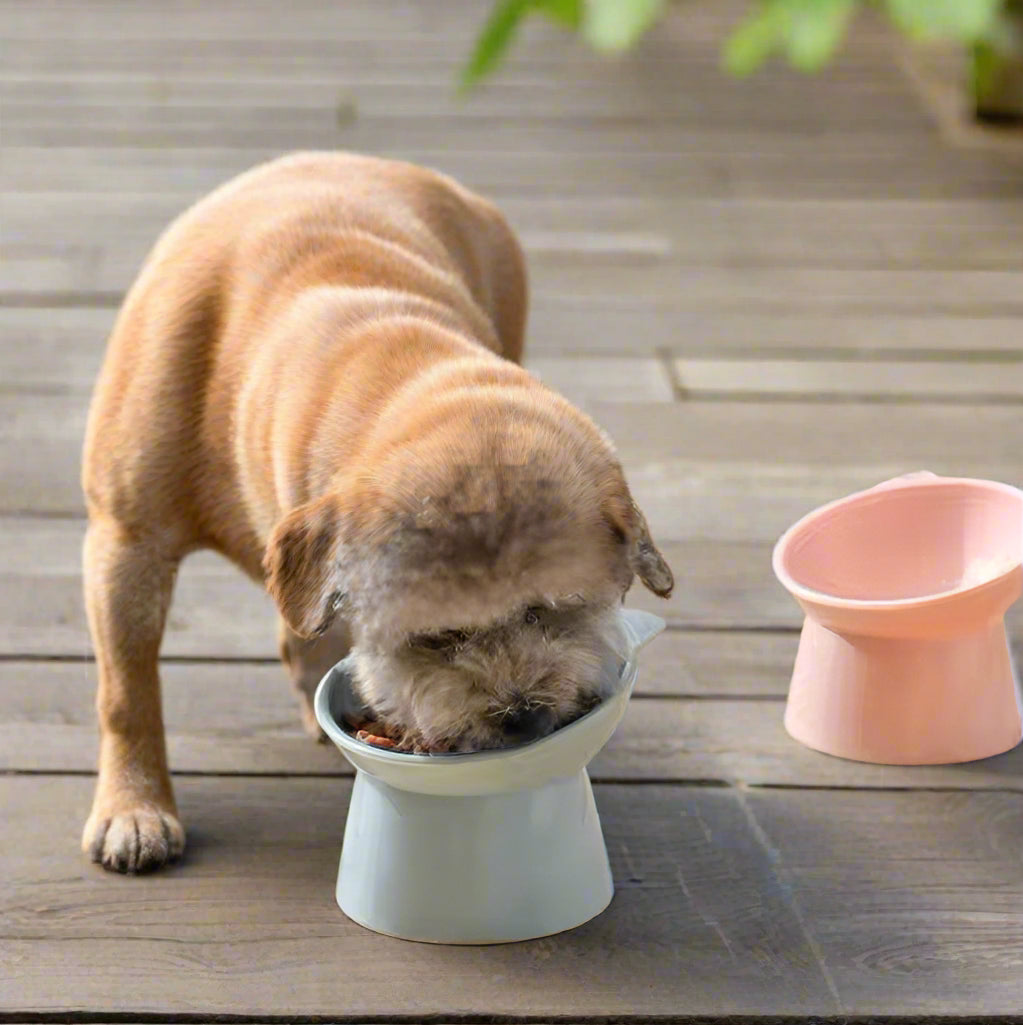 2 pc set Raised Stand Cat Bowl, Water Bowl Elevated Pet Dog Bowl - Simply Petastic