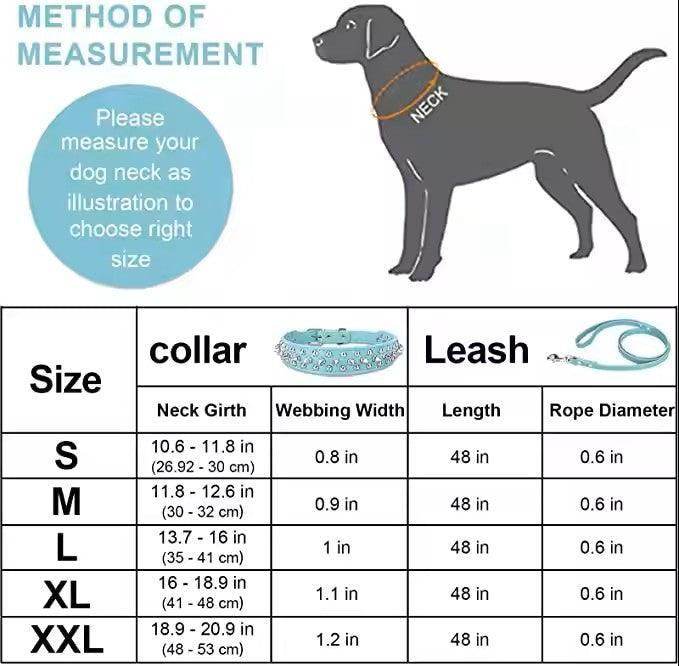 Spike Studded Dog Collar - Simply Petastic