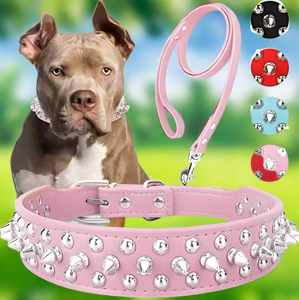 Spike Studded Dog Collar - Simply Petastic