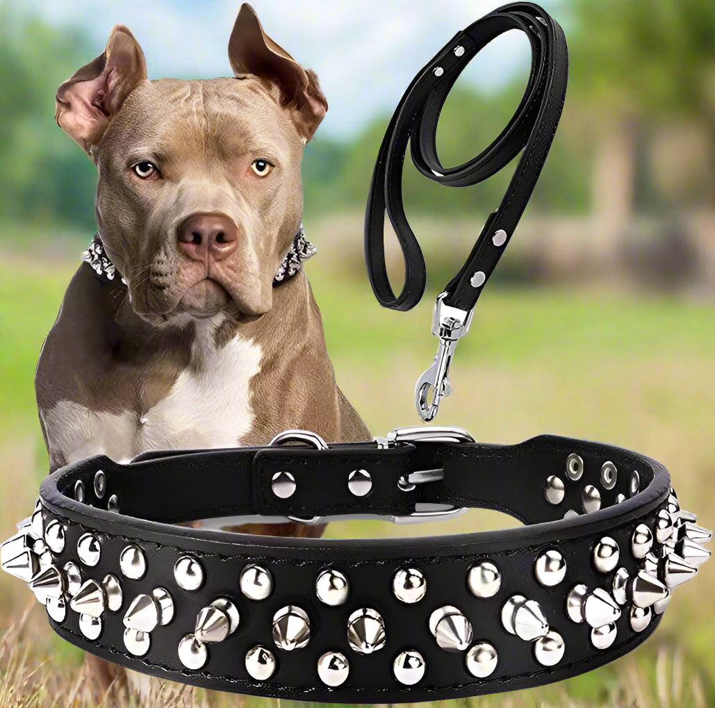 Spike Studded Dog Collar - Simply Petastic